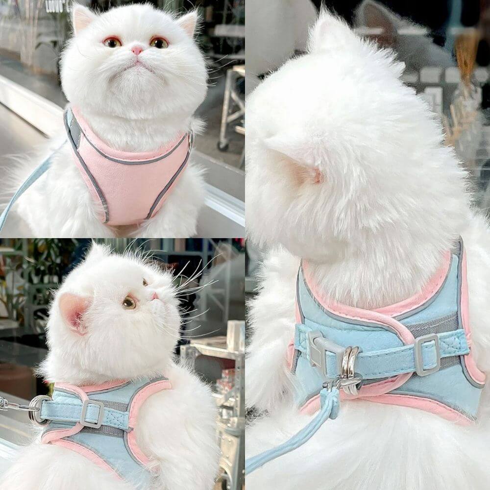 Katsele udslipssikker sele til katte