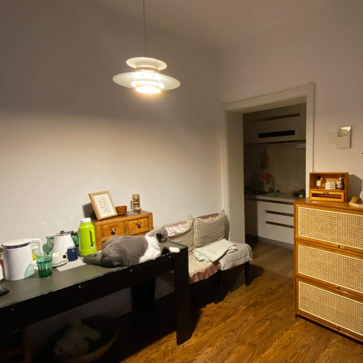 Moderne Pendellampe i Metal til Hjemmet