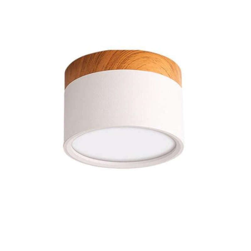 Moderne LED Loftslys i Morandi Stil