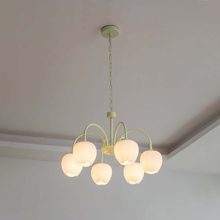 Tulipan Matcha Loftkrone - 5-8 Pærer