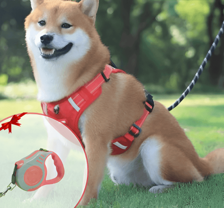 Hund Antitræksele Komfort og Sikkerhed til Gåtur