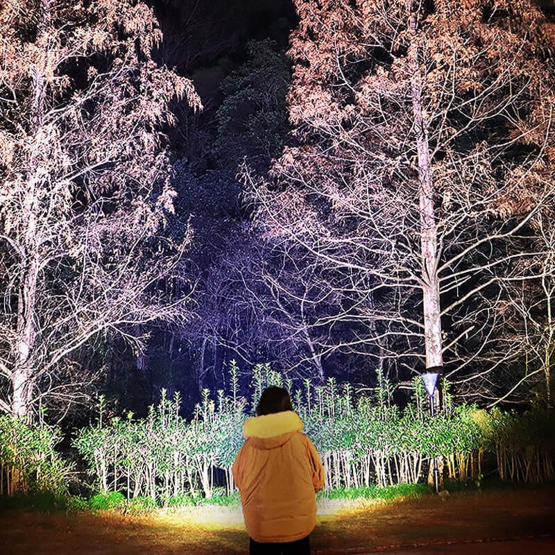 LED-pandelygte med bred stråle - Perfekt til udendørs