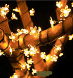 Solar otte-funktion 5m 20 lys