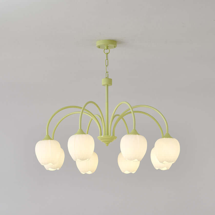 Tulipan Matcha Loftkrone - 5-8 Pærer