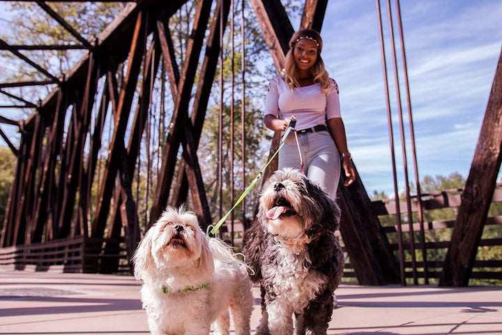 Dobbelt Hundeflexline med 360-graders teknologi, ergonomisk, reflekterende, til to hunde, farvekodede liner