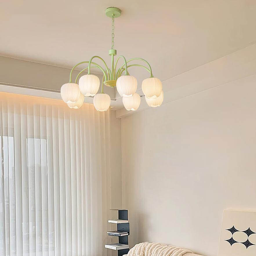 Tulipan Matcha Loftkrone - 5-8 Pærer