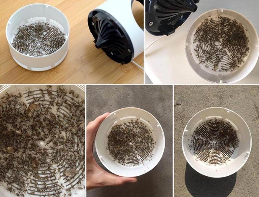 Effektiv myggedræberlampe med 365nm lys, stille drift, stilfuldt design, tiltrækker myg og insekter udendørs.