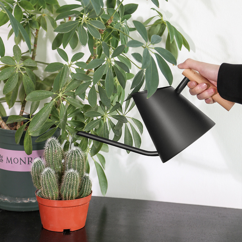 Elegant vandkande med ergonomisk træhåndtag, ideel til stilfuld vanding i haven. Mat sort, holdbar, 900 ml kapacitet.