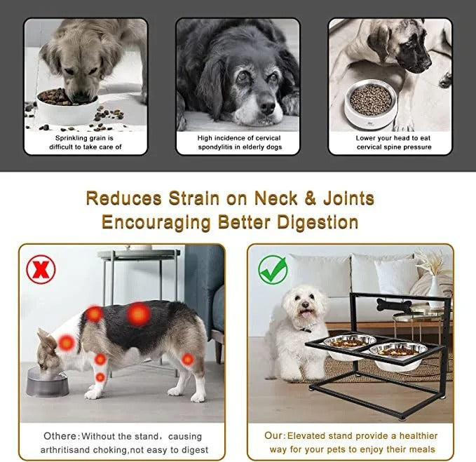 Hævet hundeskål med 2 skåle