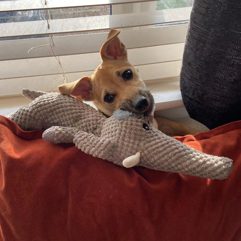 Robust hundelegetøj i dyreform, fremmer tandpleje, lavet af slidstærkt materiale til intens tygning og leg.