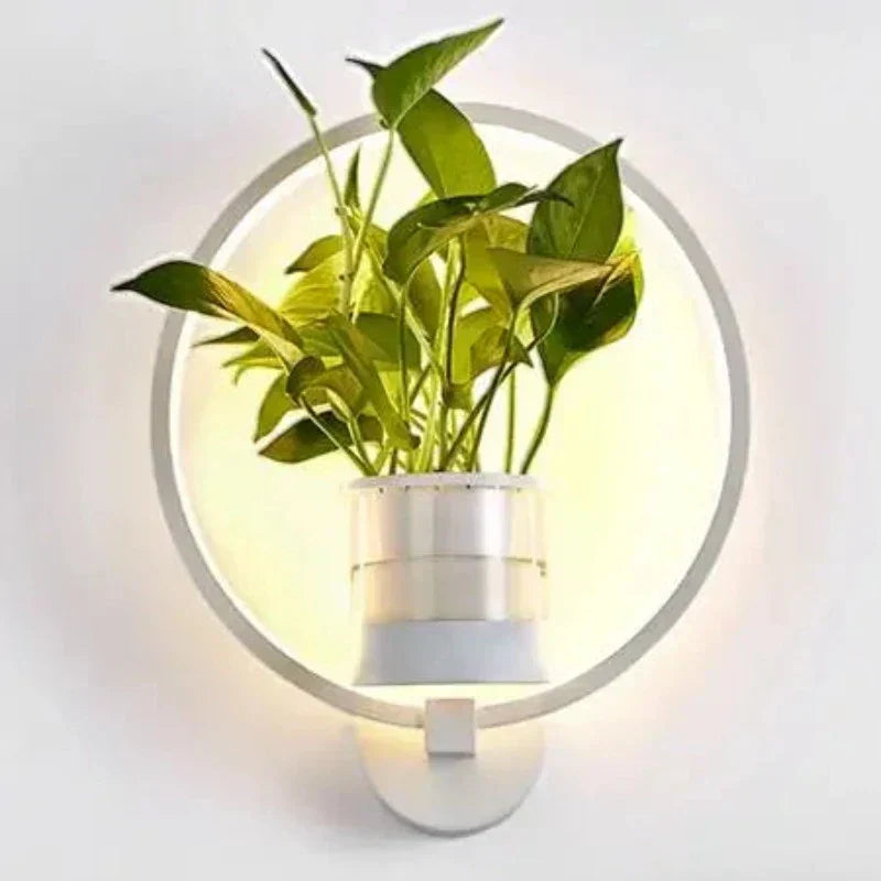 Elegant LuminaireSconce plantevæglampe i glas med naturligt design, perfekt til stilfulde interiører, oplyst med koldt eller varmt hvidt lys.