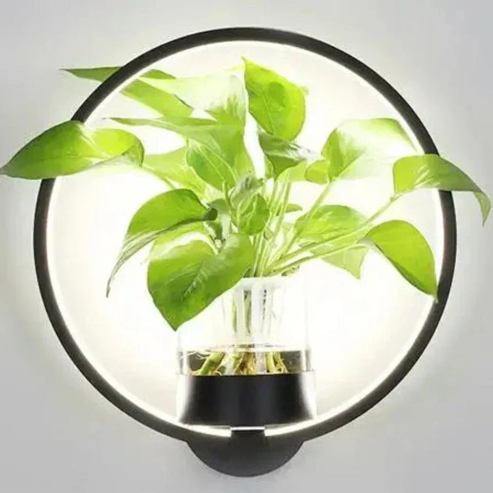 Elegant LuminaireSconce plantevæglampe i glas med naturligt design, perfekt til stilfulde interiører, oplyst med koldt eller varmt hvidt lys.