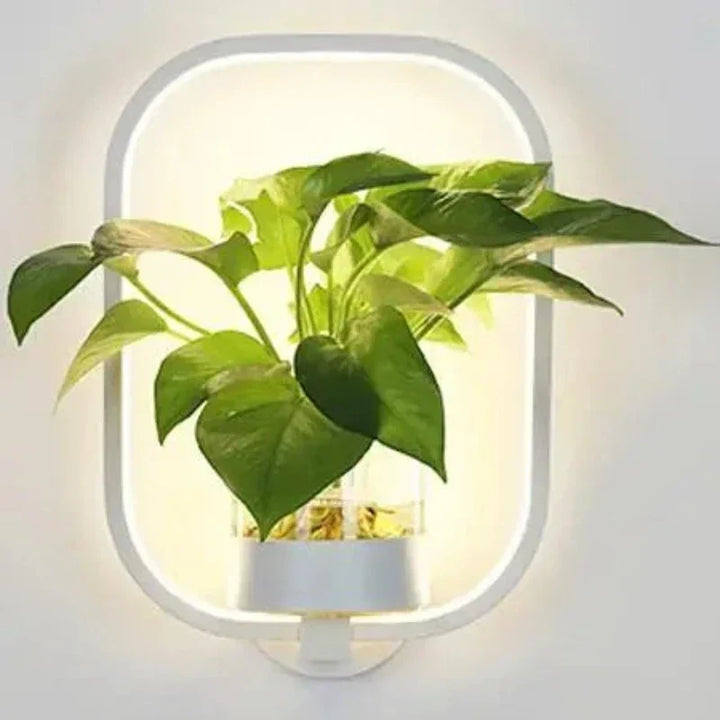 Elegant LuminaireSconce plantevæglampe i glas med naturligt design, perfekt til stilfulde interiører, oplyst med koldt eller varmt hvidt lys.